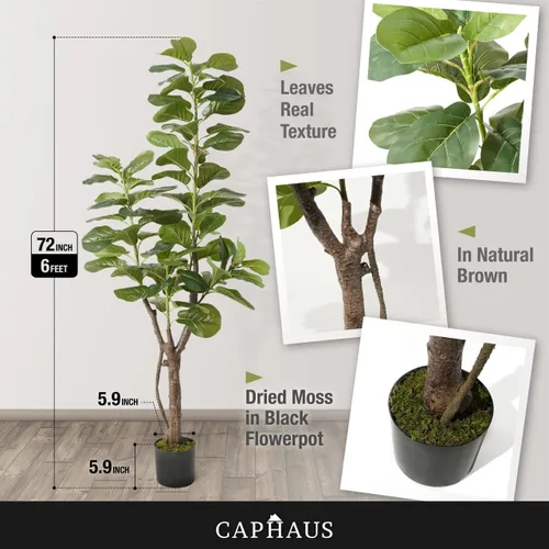 Vista 2 de CAPHAUS Árbol de higuera artificial de hoja de violín, 6/7 pies en maceta con musgo seco, para casa, oficina, tienda, árbol sintético de ficus