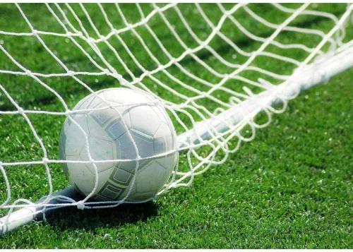 Vista 5 de Soccer Net TOPINCN - Redes deportivas de repuesto para Lacrosse y fútbol (6 x 4 pies, 8 x 6 pies, 12 x 6 pies, 24 x 8 pies) (8 x 6 pies)