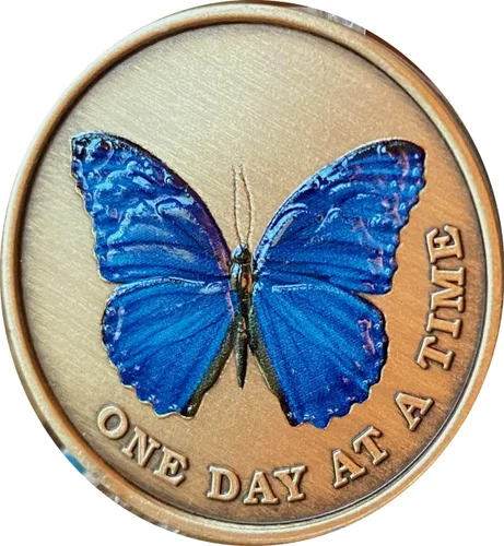 Vista 5 de Mariposa de color azul un día a la vez Medallón serenidad oración bronce chip