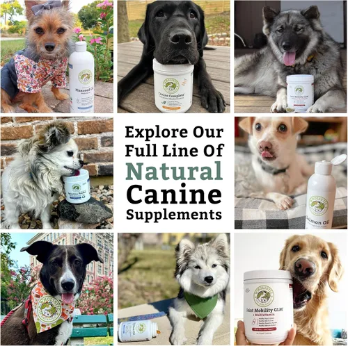Vista 11 de Wholistic Pet Organics Canine Complete - Polvo multivitamínico para perros, 1 libra, vitaminas diarias para perros y suplementos para alimentos