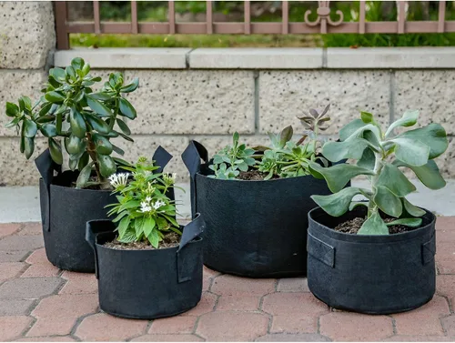 Vista 5 de 247Garden Paquete de 5 Macetas/Bolsas de Cultivo de Tela de Aireación de 1 Galón para Plantas con Asas (260 GSM, Negro, 6H x 7D)