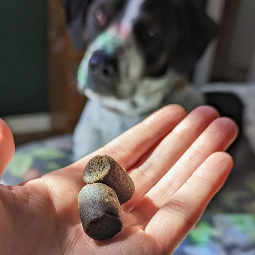 Vista 4 de Hemp Well Thrive Chews para perros – Apoya la salud de la cadera, las articulaciones y el corazón, promueve la salud inmunológica y de la piel
