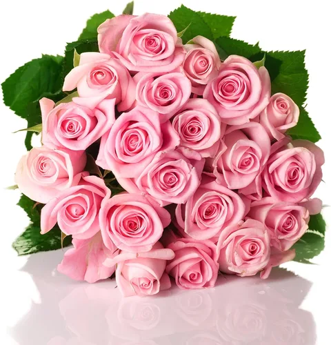 Vista 8 de Blooms2Door - 25 Rosas Rosadas (Fresco - 19.7 in) - Flores Frescas para Cumpleaños, San Valentín y Día de la Madre