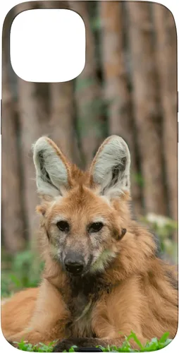 Vista 9 de Funda para iPhone 13 Pro Max Maned Wolf