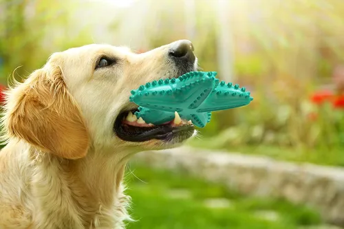 Vista 4 de Carllg Juguetes para perros para masticadores agresivos, cepillo de dientes de limpieza de dentición para perros, juguetes duraderos interactivos