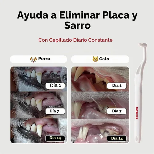 Vista 3 de JAYU PET Cepillo de Cuidado Dental (Cerdas de Borde) 1 unidad - Cepillo de Dientes para Perro con Cabeza Micro Redonda, Cepillo de Dientes