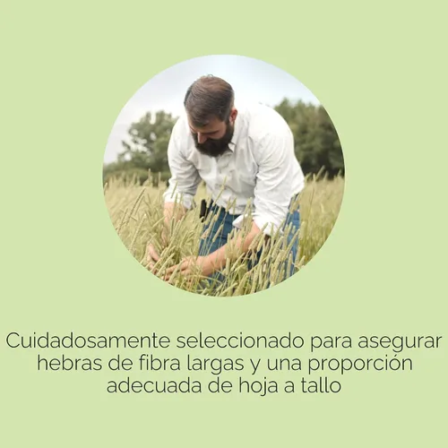 Vista 7 de Kaytee Heno Timothy cortado con obleas para conejillos y cobayas, 180 onzas