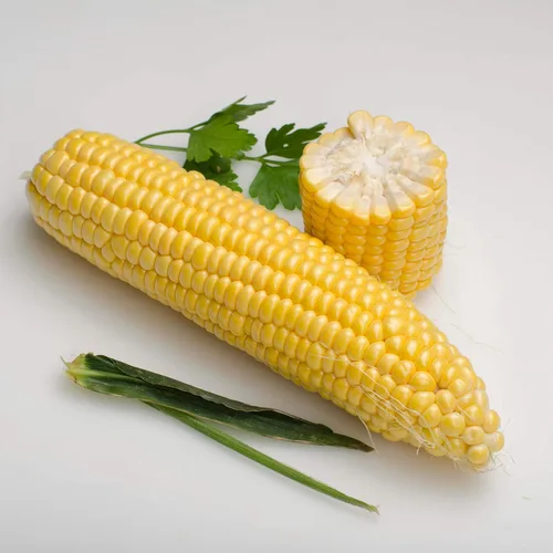 Vista 4 de Semillas Azúcar Maíz Dulce Vegetal de la reliquia para plantar No-GMO