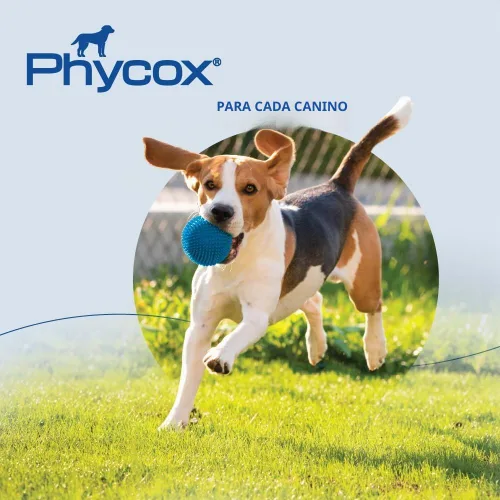 Vista 8 de Suplemento para articulaciones pequeños bocados para perros, 120