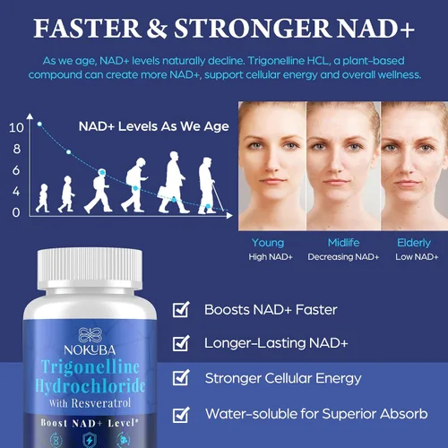 Vista 2 de Suplemento NAD – Alternativa NMNH con Trigonelina HCL 500 mg y resveratrol – Precursores NAD+ Extracción de plantas – Apoya la energía celular