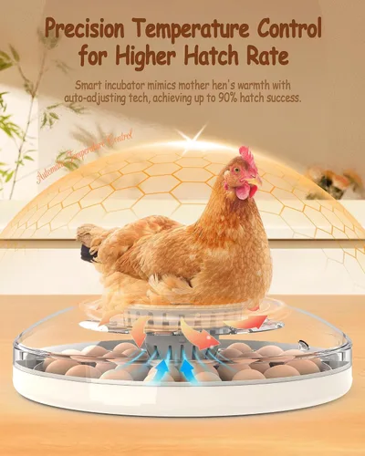 Vista 2 de Incubadoras para incubar huevos con giro automático de huevos, control automático de temperatura, pantalla de humedad, vela LED de huevos