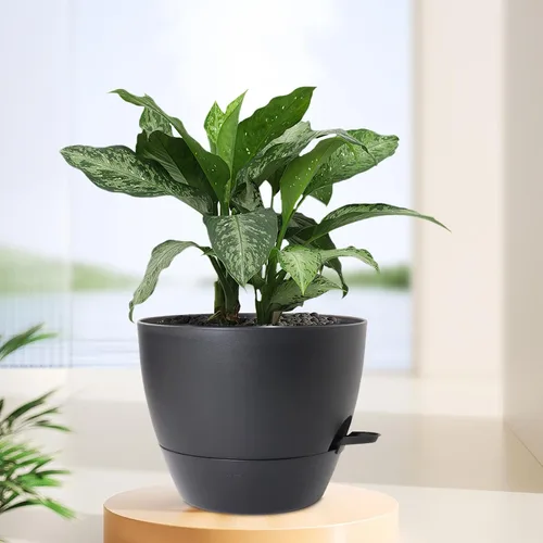 Vista 6 de Meowell Macetas grandes de 12 pulgadas con riego automático para plantas de interior y exterior, macetas para flores con orificios de drenaje