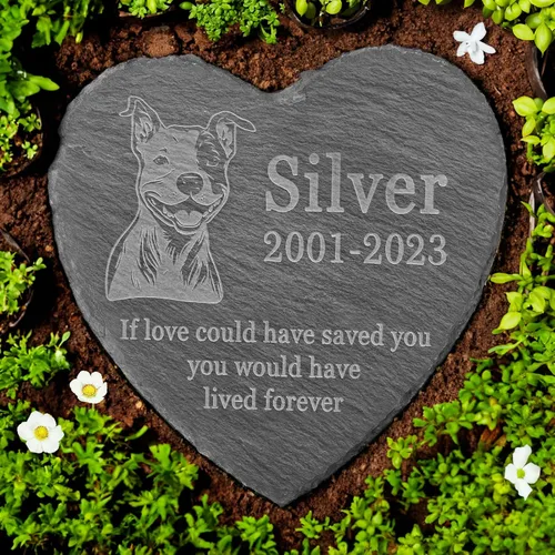 Vista 16 de Memorial personalizado de American Staffordshire Terrier, lápida de American Staffordshire Terrier, condolencias por pérdida de American