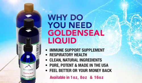 Vista 3 de GoldenSeal - Extracto líquido sin alcohol, suplemento natural de raíz GoldenSeal de origen orgánico para digestión, apoyo respiratorio e