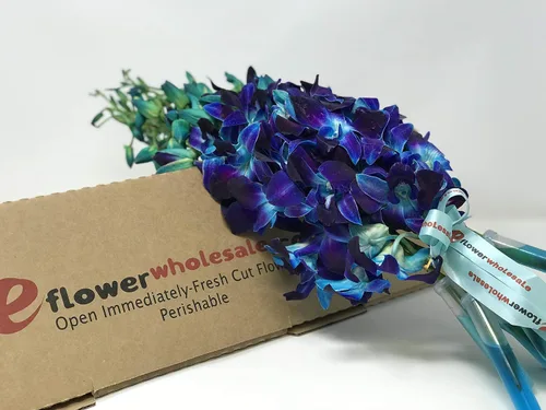 Vista 2 de eflowerwholesale - Orquídeas Moradas de Corte Premium (Apoya Pequeños Negocios) (Azul, 10 Tallos con Florero)