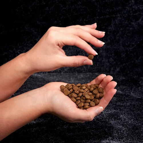 Vista 9 de Crave Comida con proteína para perros, libre de granos, adulto