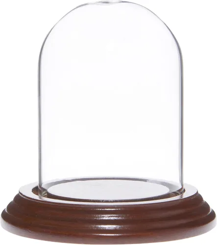 Vista 3 de Plymor Cúpula de cristal pequeña de 2.5 x 3.5 pulgadas (base de chapa de madera negra)