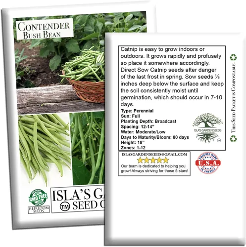 Vista 4 de Semillas de frijol Contender Bush (Phaseolus vulgaris) – 50 semillas de reliquia sin OMG de Isla's Garden Seeds, judías verdes de maduración