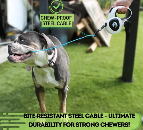 Vista 5 de Snuggle Paws - Correa retráctil para perro de 16 pies, todo en uno, con linterna LED, soporte para bolsa de excrementos, cable de acero resistente a