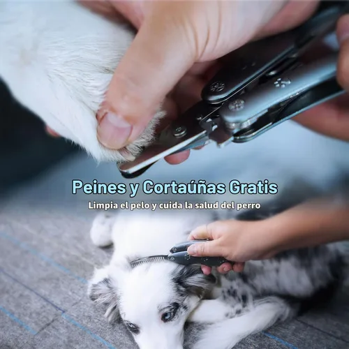 Vista 5 de Los mejores cortaúñas para perros sensibles a la ansiedad con uñas gruesas