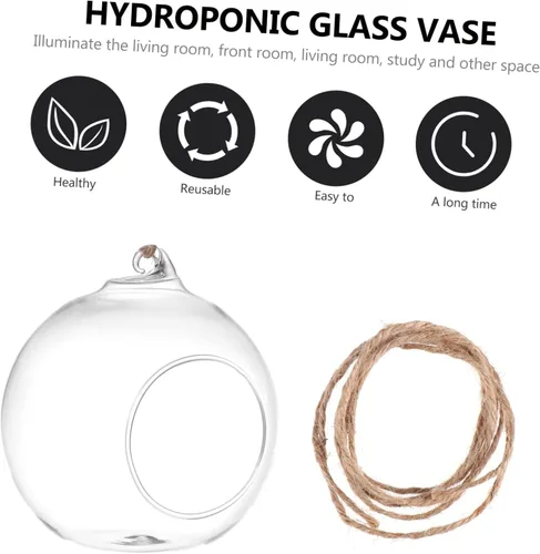 Vista 3 de BESTonZON 6 jarrones colgantes de terrario para plantas suculentas, macetas decorativas de interior, botellas ecológicas hidropónicas de vidrio