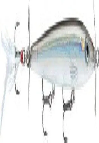 Vista 2 de Rapala Rapala X Rap