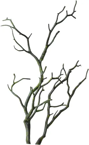 Vista 10 de IMIKEYA 3 ramas de árbol secas de cuernos artificiales, ramitas decorativas secas artificiales, arte de bruja, rama de cuernos de bruja, plantas