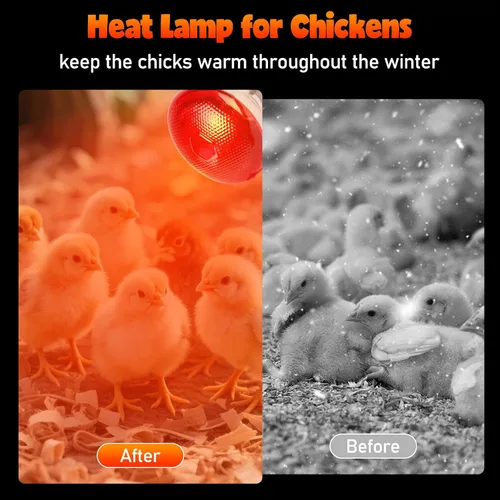 Vista 3 de LUCKY HERP Bombillas de lámpara de calor para pollos, lámpara de calor infrarroja de 150 W, 1 paquete, bombillas rojas para reptiles, mascotas