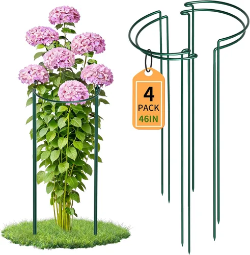 Vista 11 de TCBWFY Paquete de 10 estacas de soporte para plantas de peonía, 10 pulgadas de ancho x 16 pulgadas de alto, jaulas de peonía de alta resistencia