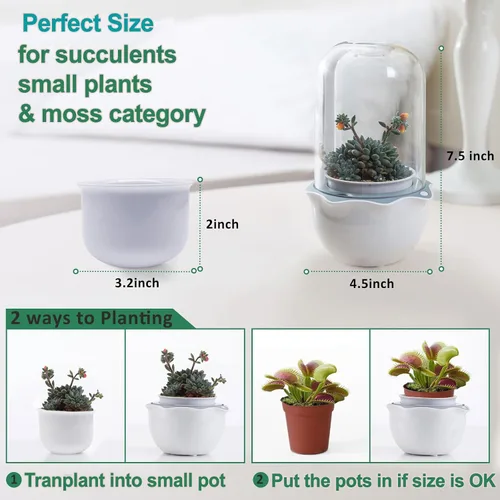 Vista 6 de Smart Venus - Maceta de terrario con temporizador y ventilador, kit de terrario para plantas con luz de crecimiento para carnívoros, Butterwort
