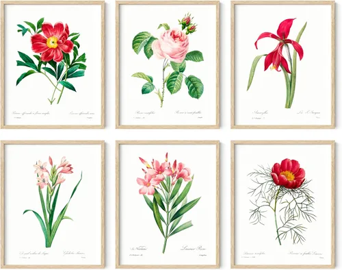 Vista 36 de HAUS AND HUES Pósteres florales y de plantas, juego de 6 impresiones botánicas, arte de pared de flores y plantas, decoración botánica