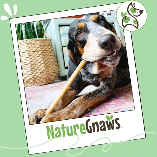 Vista 7 de Nature Gnaws Bully Sticks - Masticables para perros sin cuero crudo de larga duración, 1 libra