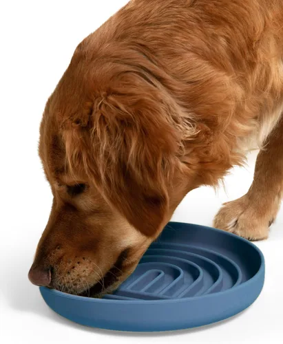 Vista 14 de Should We Go? Alimentador lento para perros y gatos, el tazón Slowdown de silicona, solución para comer lentamente con diseño moderno de alfombrilla