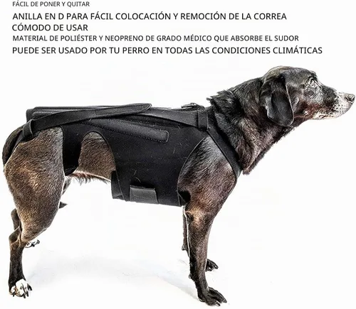 Vista 3 de Soporte de espalda para perro, chaleco de apoyo para la espalda de mascotas para perros salchicha, corgis y otros perros, artritis IVDD, hernia