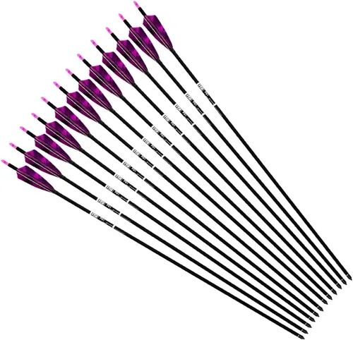 Vista 5 de Flechas de carbono de 31 pulgadas para práctica de caza con escudo de 4 pulgadas, 500 flechas para arco recurvo arco compuesto arco largo