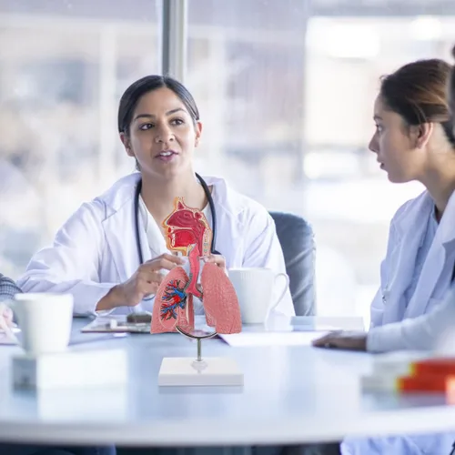 Vista 6 de Modelo 4D, modelo de pulmón respiratorio enseñanza con cabeza y pulmones, herramientas prácticas de estudio de modelos 3D para estudiantes