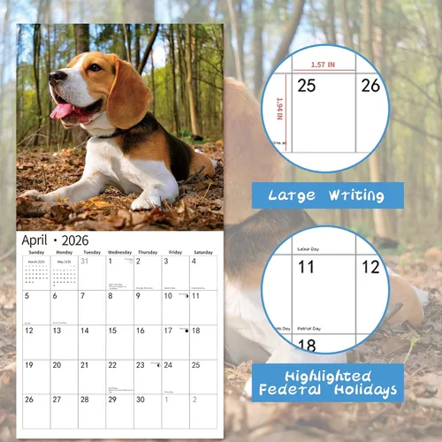 Vista 4 de Calendario de Pared 2026, Calendario 2026, noviembre de 2025 a diciembre de 2026, Calendario de Pared Beagles, 12" x 24" abierto, página completa
