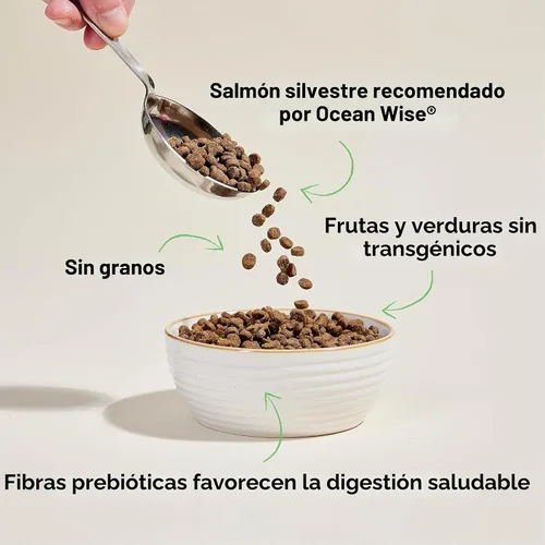 Vista 4 de Open Farm Alimento seco para gatos sin granos, croquetas de salmón