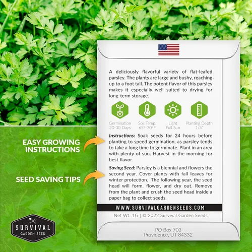 Vista 2 de Giant of Italy Semillas de perejil para plantar, hierba tradicional italiana de hoja plana con hojas grandes y sabrosas, sin OMG, ideal para cocinar