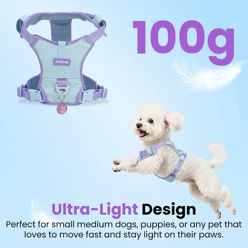 Vista 2 de Arnés para perro sin tirones a prueba de fugas para perros pequeños y cachorros, chaleco ligero ajustable con clip frontal y trasero, bolsillo