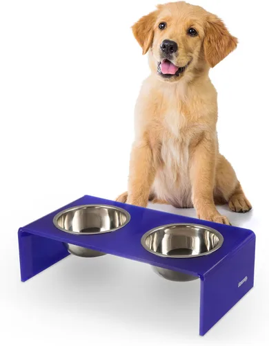 Vista 15 de DBL2000B Keaton - Comedero rectangular elevado moderno de lucita para mascotas de 5 pulgadas, tamaño pequeño/mediano, con 2 cuencos de acero