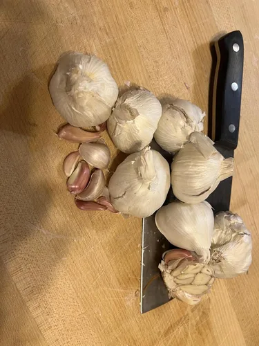 Vista 3 de Bulbos de ajo sin OMG para plantar o comer, paquete de 7 (aproximadamente 50-70 dientes para plantar)