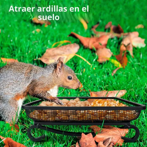 Vista 6 de MIXXIDEA Bandeja de comedero para pájaros de tierra, bandeja de malla de malla de metal para comederos de pájaros, gran decoración atractiva