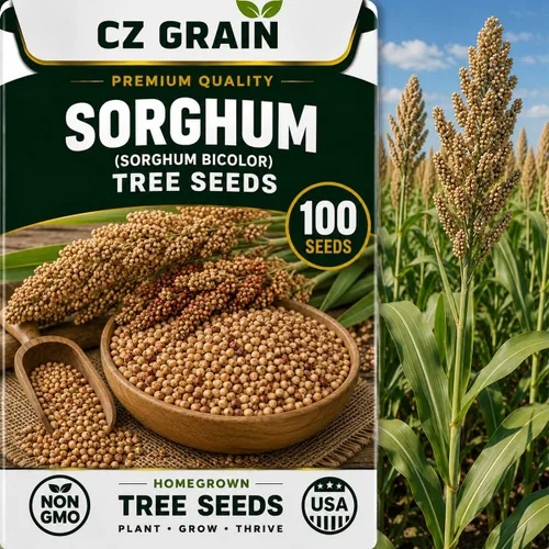 Vista 10 de CZ Grain Semillas para plantar, 40 pequeñas mezclas de calabaza
