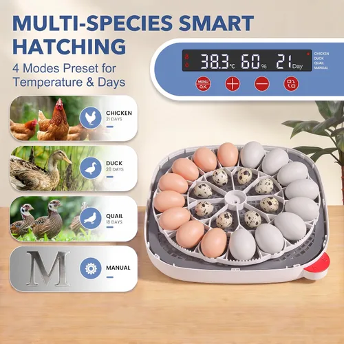 Vista 3 de Sailnovo 24 Egg Incubators for Hatching Eggs, 360° View with 4 Modes, Blue