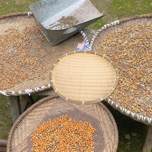 Vista 3 de NOLITOY Cesta tejida de bambú redonda para pan, cesta de comida plana de mimbre, cesta de frutas de mimbre poco profunda, cesta para servir