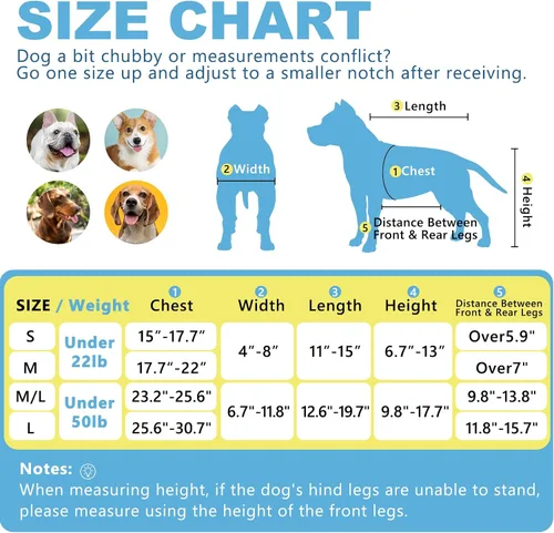 Vista 4 de Silla de ruedas para perros para patas traseras, altura/longitud/ancho ajustable, silla de ruedas resistente con ruedas que absorben los golpes