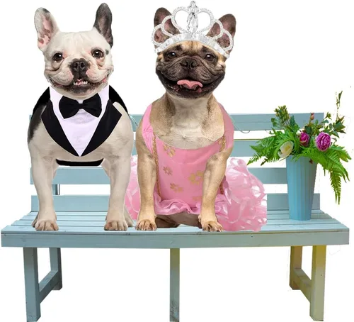 Vista 6 de QBLEEV Esmoquin para perros pequeños, conjunto de traje y bandana, traje de boda con corbatín, disfraz formal de esmoquin para Halloween, Navidad