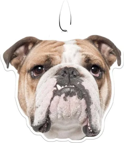 Vista 13 de Spoontiques Beagle Ambientador (3 unidades) – Accesorios y elementos esenciales para el interior del automóvil con temática de perro, desodorante