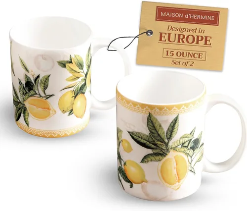 Vista 99 de Maison d' Hermine Taza de café con asas, tazas de porcelana fina de hueso, paquete de una taza de té para bebidas calientes, capuchino, latte